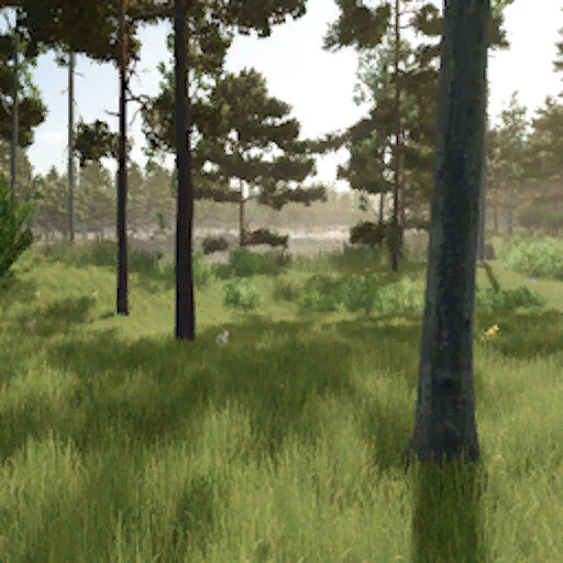 Dark Forest The Final Chapter